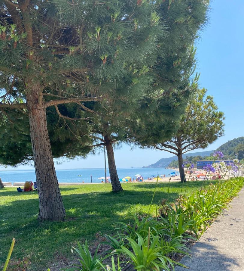 Breeze Beach House セトゥーバル エクステリア 写真